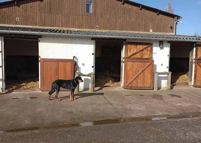 Le Gite Du Galou