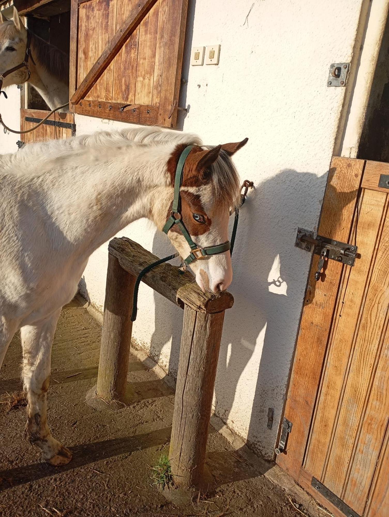 Le Du Galou Holiday home Sully (Calvados)